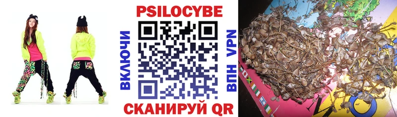 Галлюциногенные грибы Psilocybine cubensis  Купить закладки  Сорочинск 